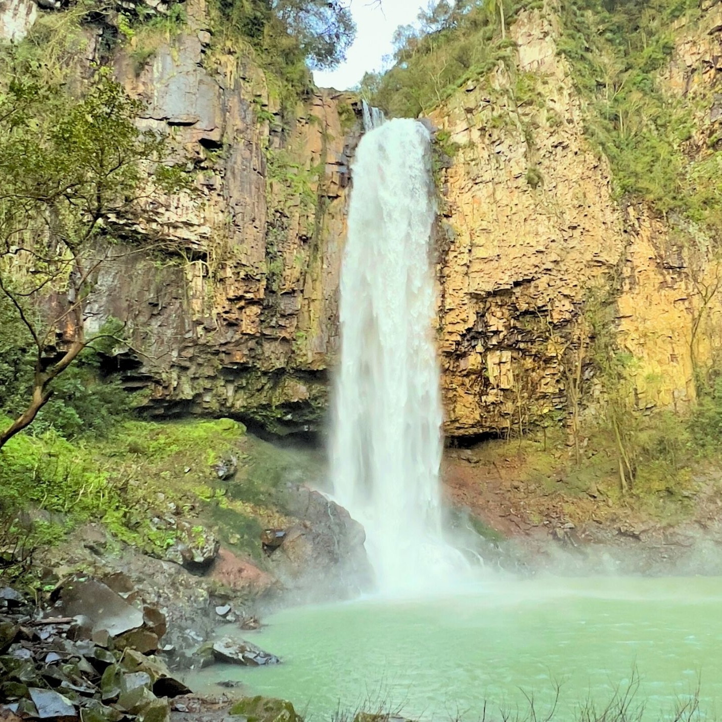 Serenidade da cascata: bem-estar em cada gota