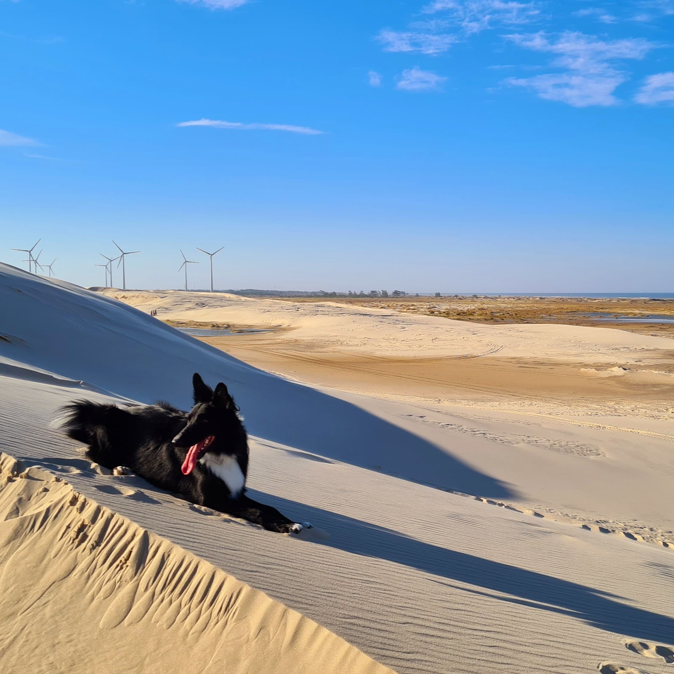 Exercício no parque de Dunas