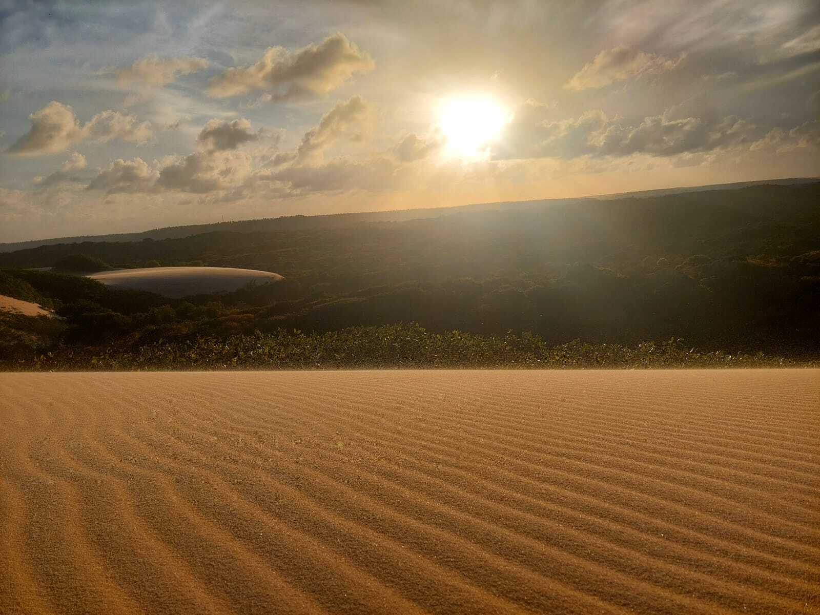Saúde Mental e Natureza