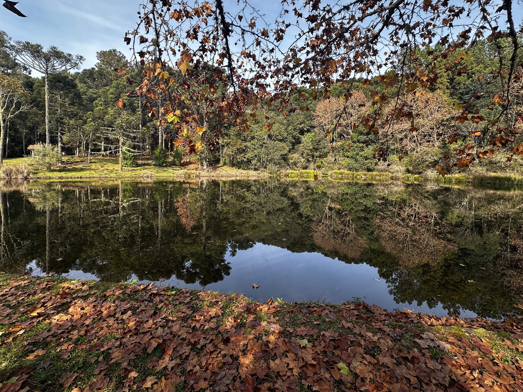 Bem estar na natureza na estação de outono na Serra Gaúcha